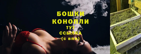кокс Белокуриха
