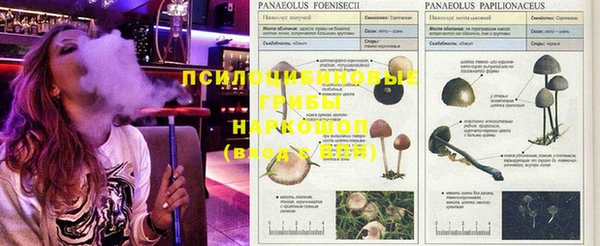 таблы Беломорск