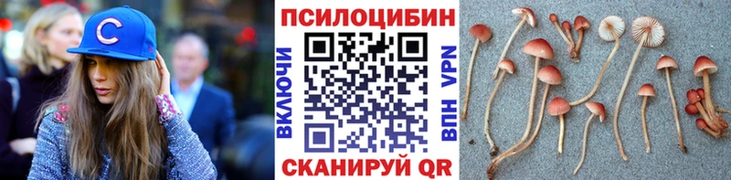 Псилоцибиновые грибы мицелий  Бузулук 